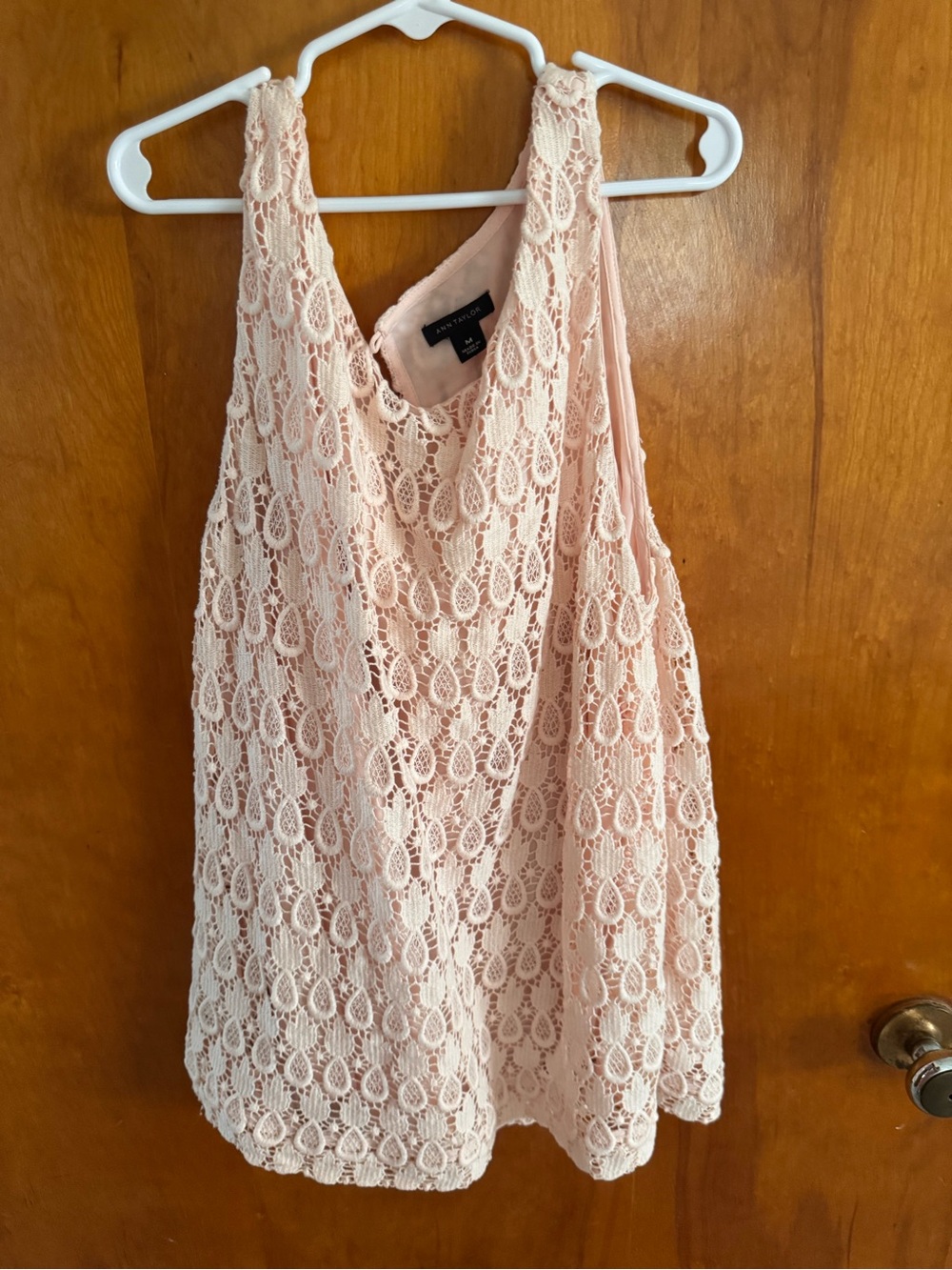 Ann Taylor Blush Pink Lace Top and Skirt Set